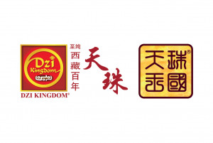 DZI KINGDOM